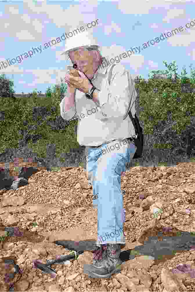 A Geologist Examining A Rock Sample Under A Microscope. The Early Permian Tarim Large Igneous Province In Northwest China: Tectonics Petrology Geochemistry And Geophysics