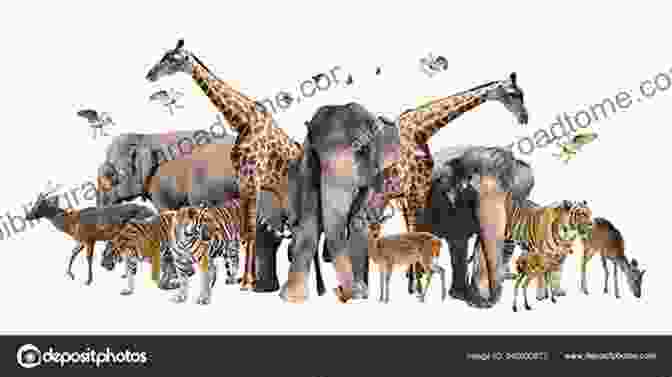 A Group Of Animals, Including A Lion, An Elephant, And A Giraffe, Standing In A Field Wildlife As Property Owners: A New Conception Of Animal Rights