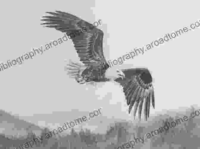 A Pen And Ink Drawing Of A Majestic Eagle Soaring Through The Sky Infinite Line: Imaginative Works Landscapes Still Lifes And Wild Life (Pen And Ink Drawings 1)