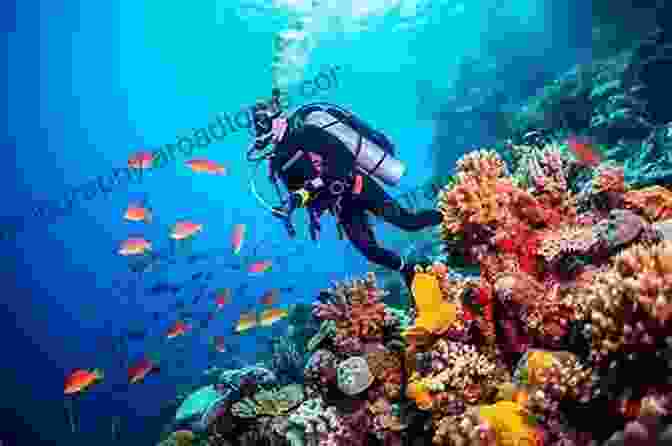 A Scuba Diver Exploring A Coral Reef Teeming With Marine Life. SCUBA DIVING FOR NOVICE: BEGINNERS GUIDE TO SCUBA DIVING EQUIPMENT STEPS TIPS AND MANY MORE