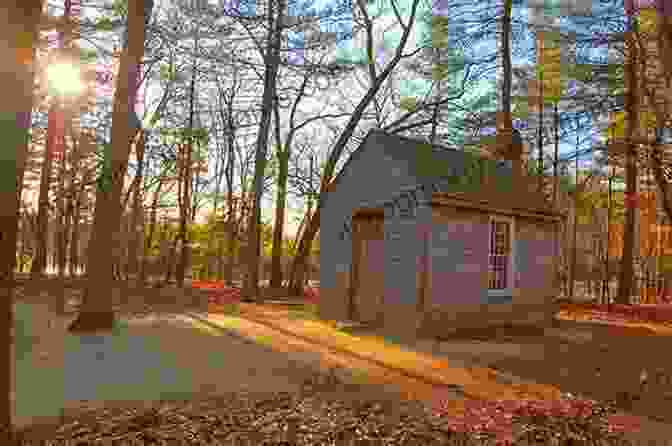 A Serene Image Of Henry David Thoreau's Cabin At Walden Pond Henry David Thoreau Collection: Walden On The Duty Of Civil Disobedience Walking And Cape Cod