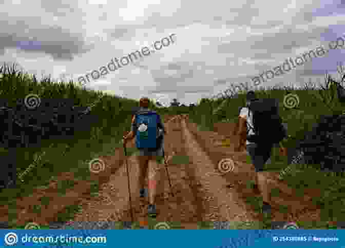 A Serene Pilgrim Walking Along A Cobblestone Path Surrounded By Lush Greenery Pilgrim Routes Of The British Isles