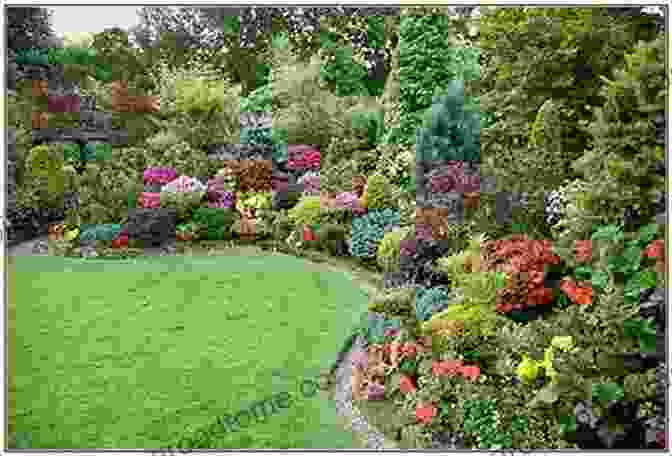 A Vibrant Array Of Deciduous Plants And Shrubs Adorning A Picturesque Garden. To Deciduous Plants And Shrubs (Gardening 13)