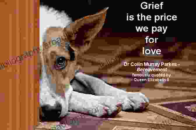 An Animal Displaying Signs Of Grief, Demonstrating The Capacity For Profound Sorrow And Mourning. The Emotional Lives Of Animals: A Leading Scientist Explores Animal Joy Sorrow And Empathy And Why They Matter