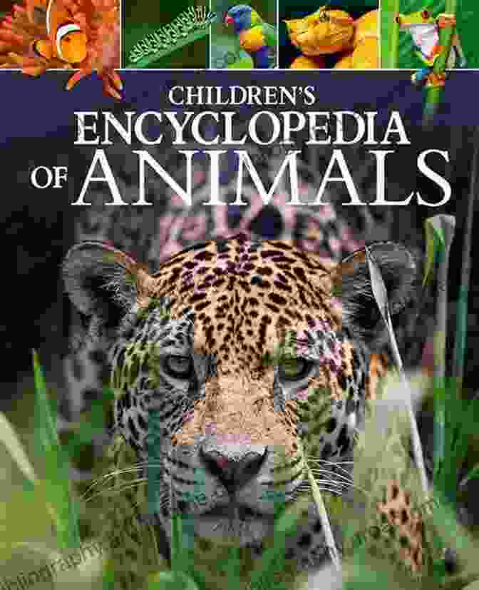 Animal Picture Encyclopedia For Kids: We Love Butterflies Children S Of Fun Fascinating Facts And Amazing Pictures: Animal Picture (Animal Encyclopedia Animal Photo Zoology For Kids)