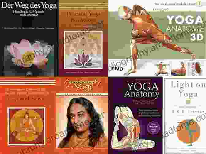 Book Cover Of 'Light On Law For Yoga Teachers' Light On Law For Yoga Teachers: A Guide To Legal Wellness