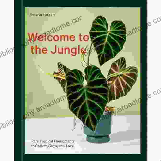 Book Cover Of Rare Tropical Houseplants To Collect Grow And Love Welcome To The Jungle: Rare Tropical Houseplants To Collect Grow And Love