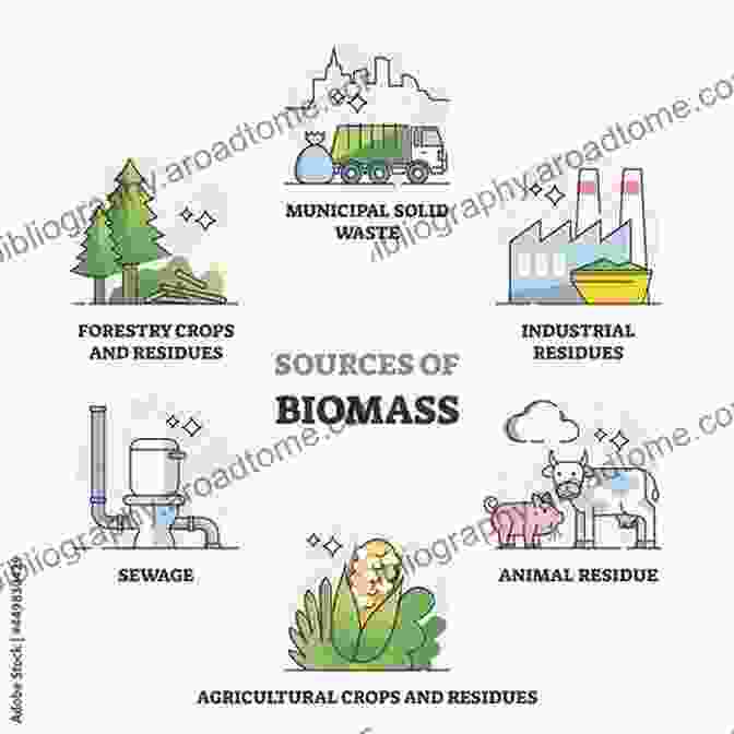 Diagram Illustrating Various Sources Of Biomass, Such As Agricultural Residues, Forest Residues, And Energy Crops. Steam Generation From Biomass: Construction And Design Of Large Boilers