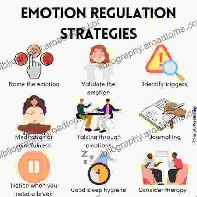 Diagram Of Emotion Management Strategies, Such As Suppression, Amplification, And Redirection Structures Of Social Action (Studies In Emotion And Social Interaction)