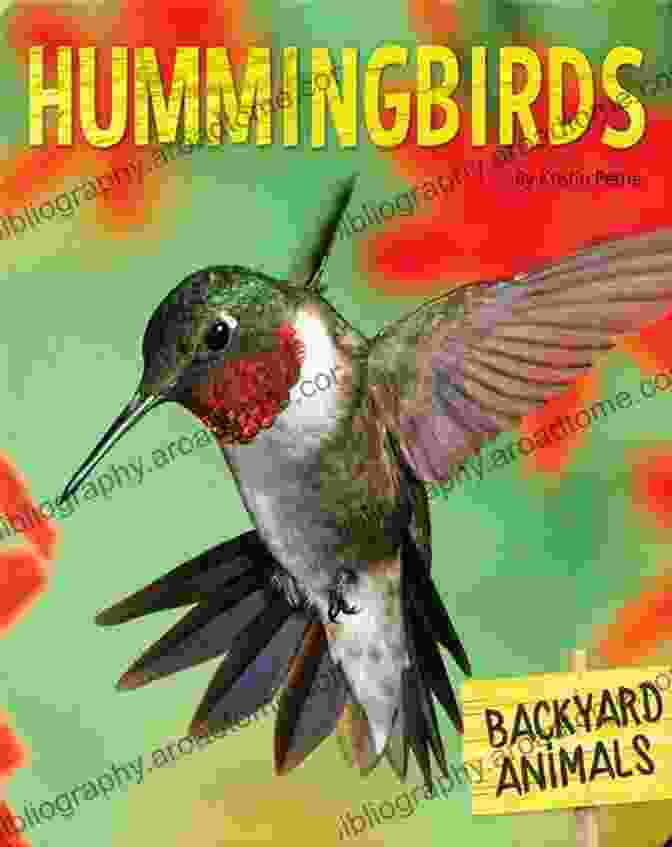 Finch Book Cover Featuring A Hummingbird In Flight Against A Vibrant Sky Finch Eric A Kimmel