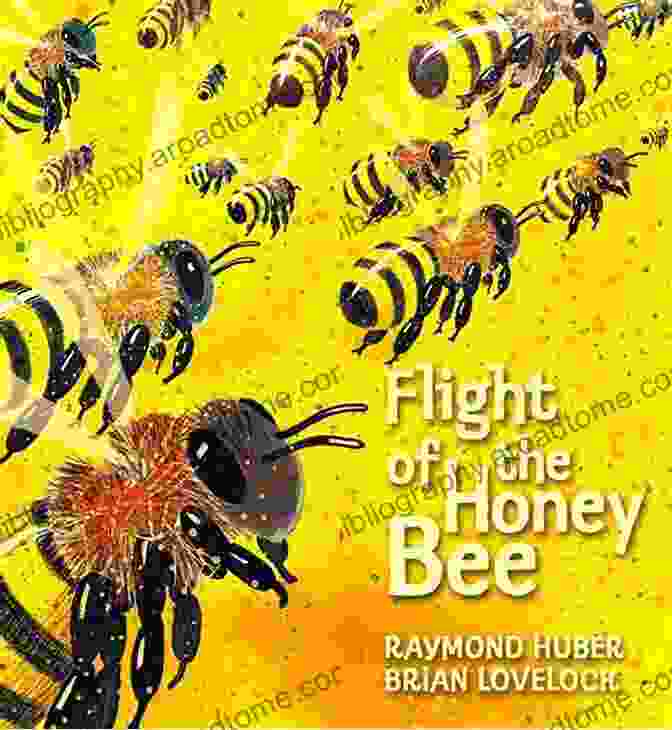 Flight Of The Honey Bee: Read And Wonder Flight Of The Honey Bee (Read And Wonder)