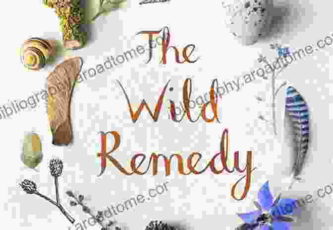 Image Of The Wild Remedy: How Nature Mends Us A Diary