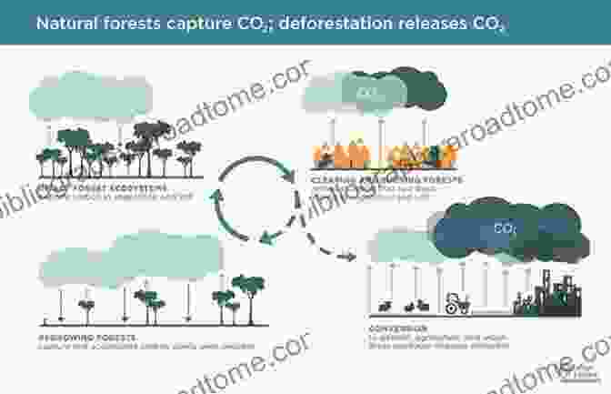 Infographic Summarizing Various Mitigation Strategies For Environmental Impacts Associated With Biomass Utilization, Such As Flue Gas Treatment, Water Conservation, And Sustainable Land Management. Steam Generation From Biomass: Construction And Design Of Large Boilers