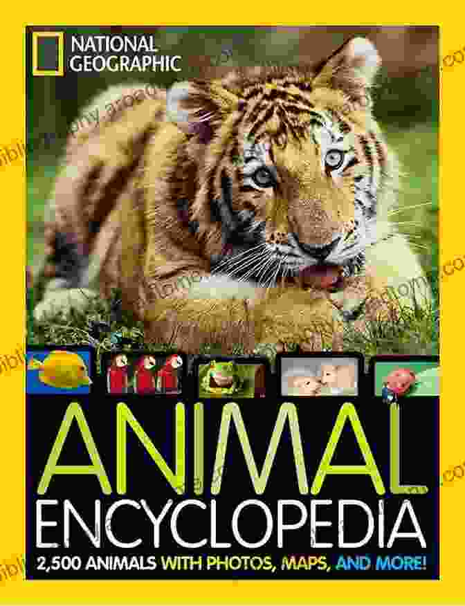 Interactive Elements In 'It's Me, Lion: Animal Encyclopedia' Engage Readers And Foster A Deeper Connection With Wildlife. Lion : Its Me Lion ( Animal Encyclopedia) (It S Me Series)