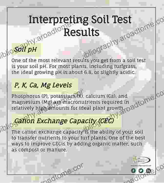 Interpretation Of A Soil Profile From In Situ Testing Results In Situ Testing In Geomechanics: The Main Tests