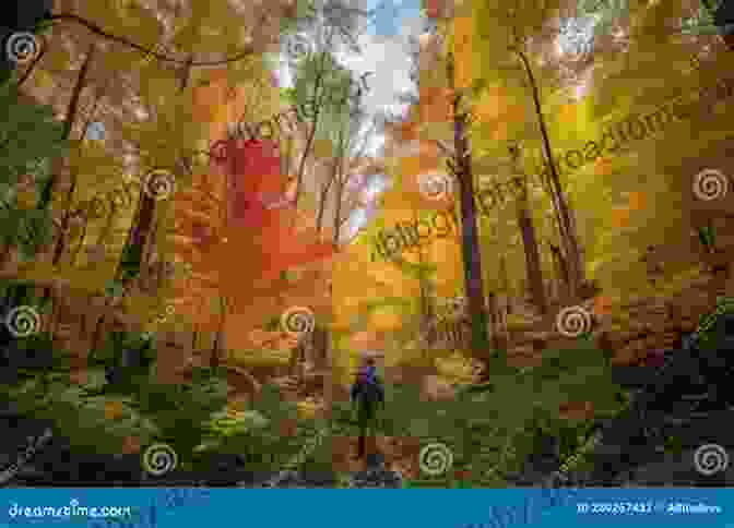 Little Goose And Her Friends Exploring A Lush Autumn Forest, Surrounded By Towering Trees And Colorful Foliage Little Goose S Autumn Elli Woollard