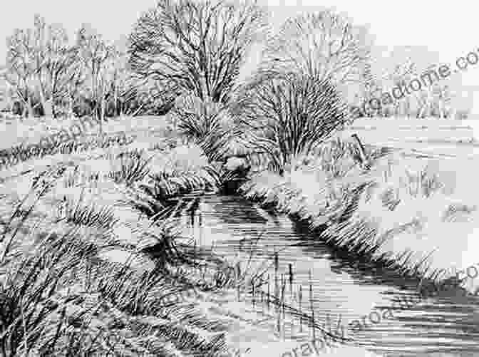 Pen And Ink Sketch Of A Landscape Pen Ink: Sketch Collection (Creative 2)