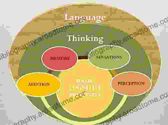 The Development Of Perception, Cognition, And Language: A Comprehensive Guide For Understanding The Interconnectedness Of Sensory Input, Cognitive Processes, And Language Acquisition The Development Of Perception Cognition And Language: A Theoretical Approach (Psychology Library Editions: Perception 9)