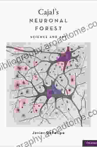 Cajal S Neuronal Forest: Science And Art