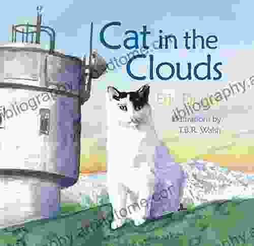 Cat In The Clouds Eric Pinder