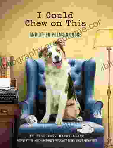 I Could Chew On This: And Other Poems By Dogs