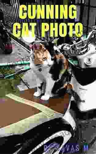 CUNNING CAT PHOTO Book: CUNNING CAT PHOTO For Everyone (photo Ebook 14)