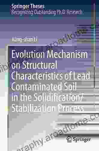 Evolution Mechanism On Structural Characteristics Of Lead Contaminated Soil In The Solidification/Stabilization Process (Springer Theses)