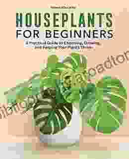 Houseplants for Beginners: A Practical Guide to Choosing Growing and Helping Your Plants Thrive