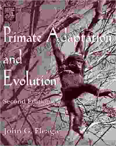 Primate Adaptation And Evolution John G Fleagle