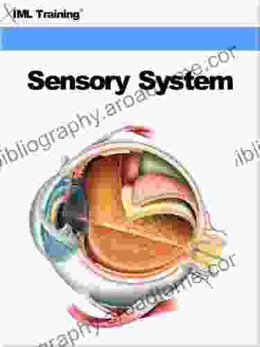 Sensory System (Human Body 11)