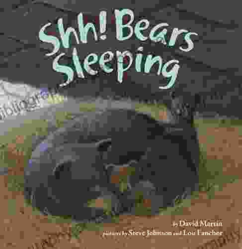 Shh Bears Sleeping Gladys Rosa Mendoza