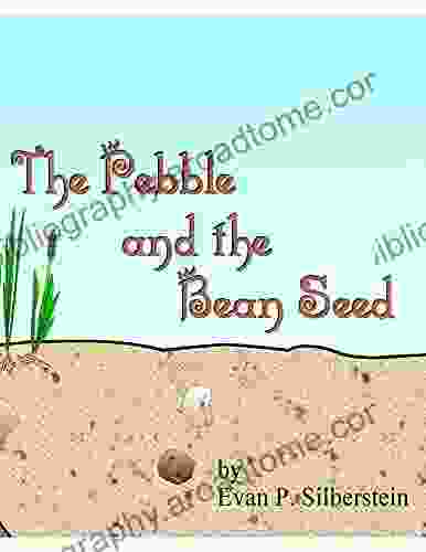 The Pebble And The Bean Seed