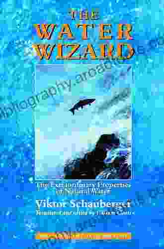 The Water Wizard The Extraordinary Properties Of Natural Water (Ecotechnology 1)