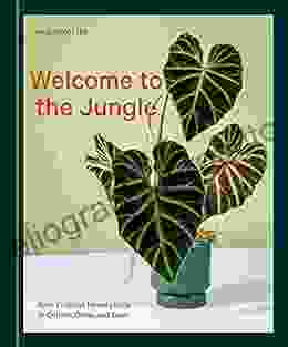 Welcome To The Jungle: Rare Tropical Houseplants To Collect Grow And Love