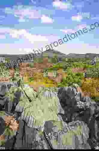 The Ankarana Plateau in Madagascar: Tsingy Caves Volcanoes and Sapphires (Cave and Karst Systems of the World)